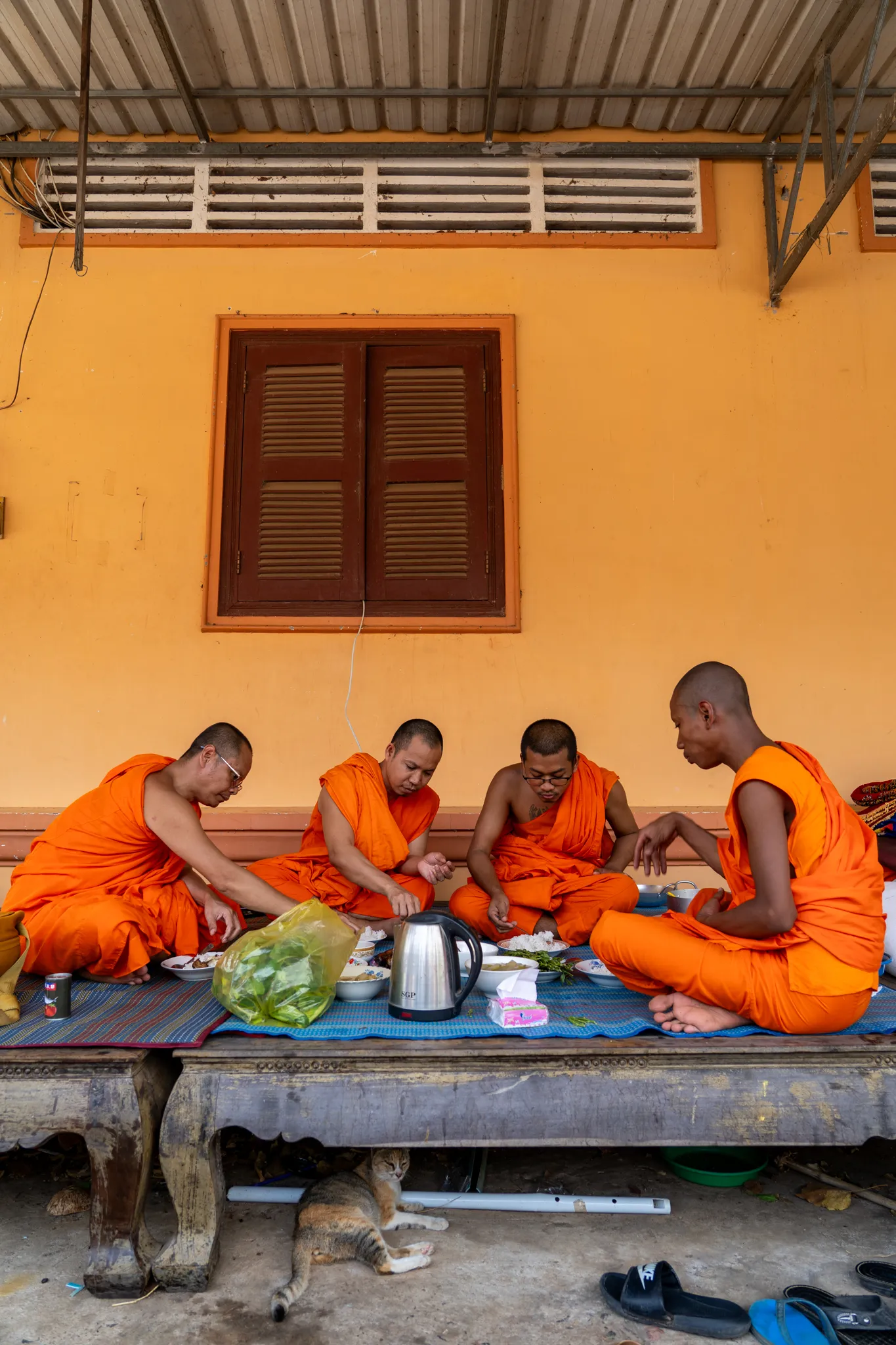 Monks sharing a meal, a cat dozing beneath the table