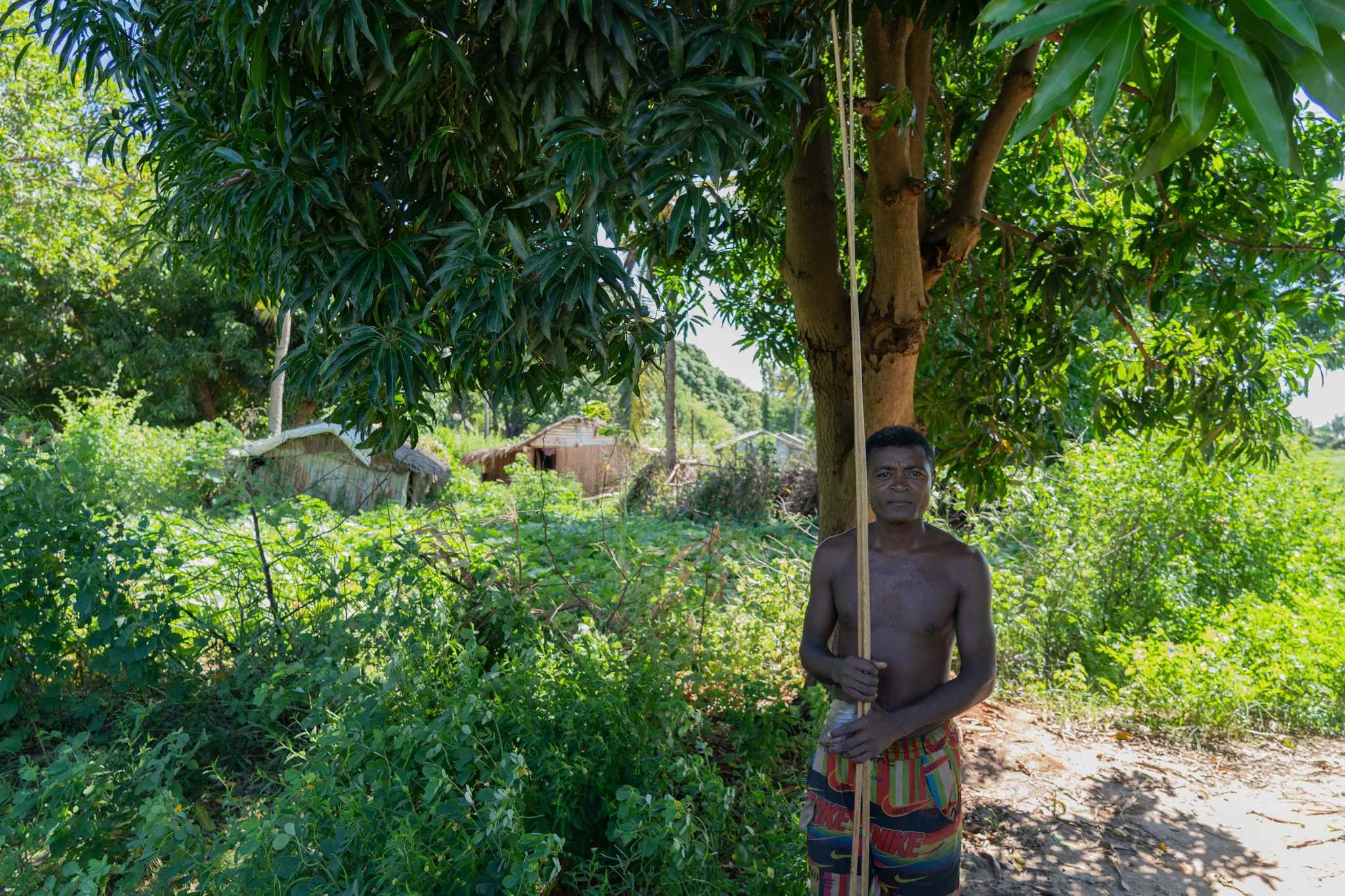 Portrait of a man under a mango tree