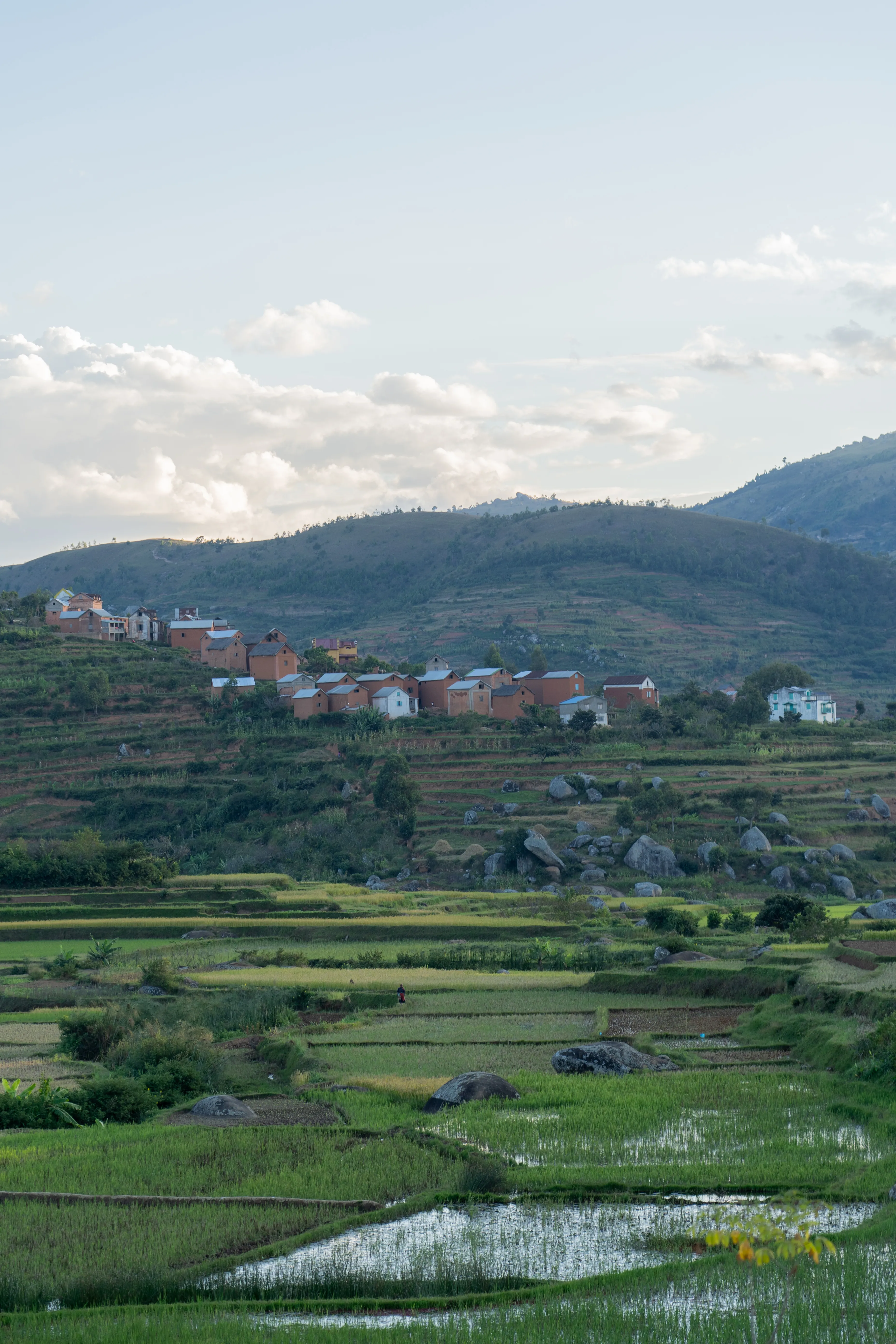 Village overlooking terraced rice paddies, Madagascar