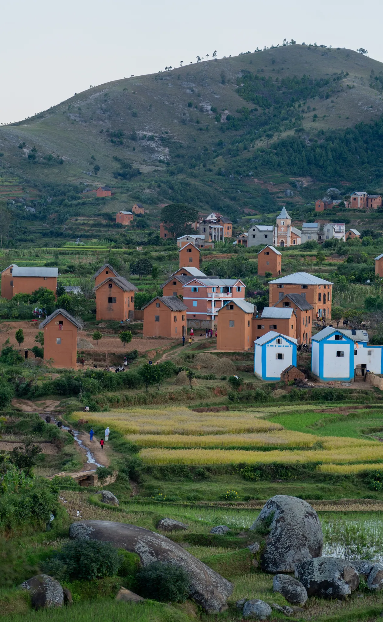 Village houses above the rice paddies