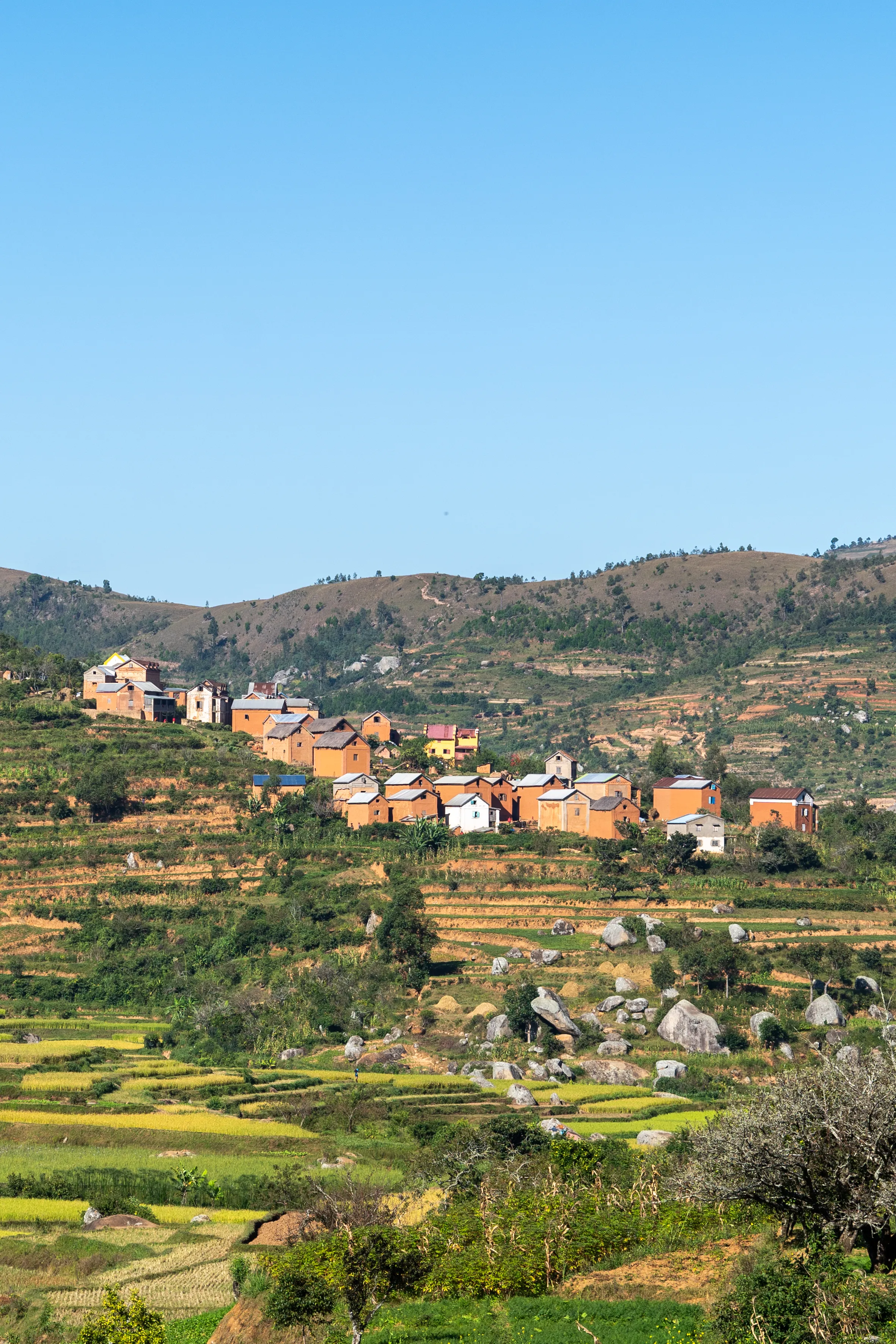 Terraced hillside village among granite boulders, Madagascar