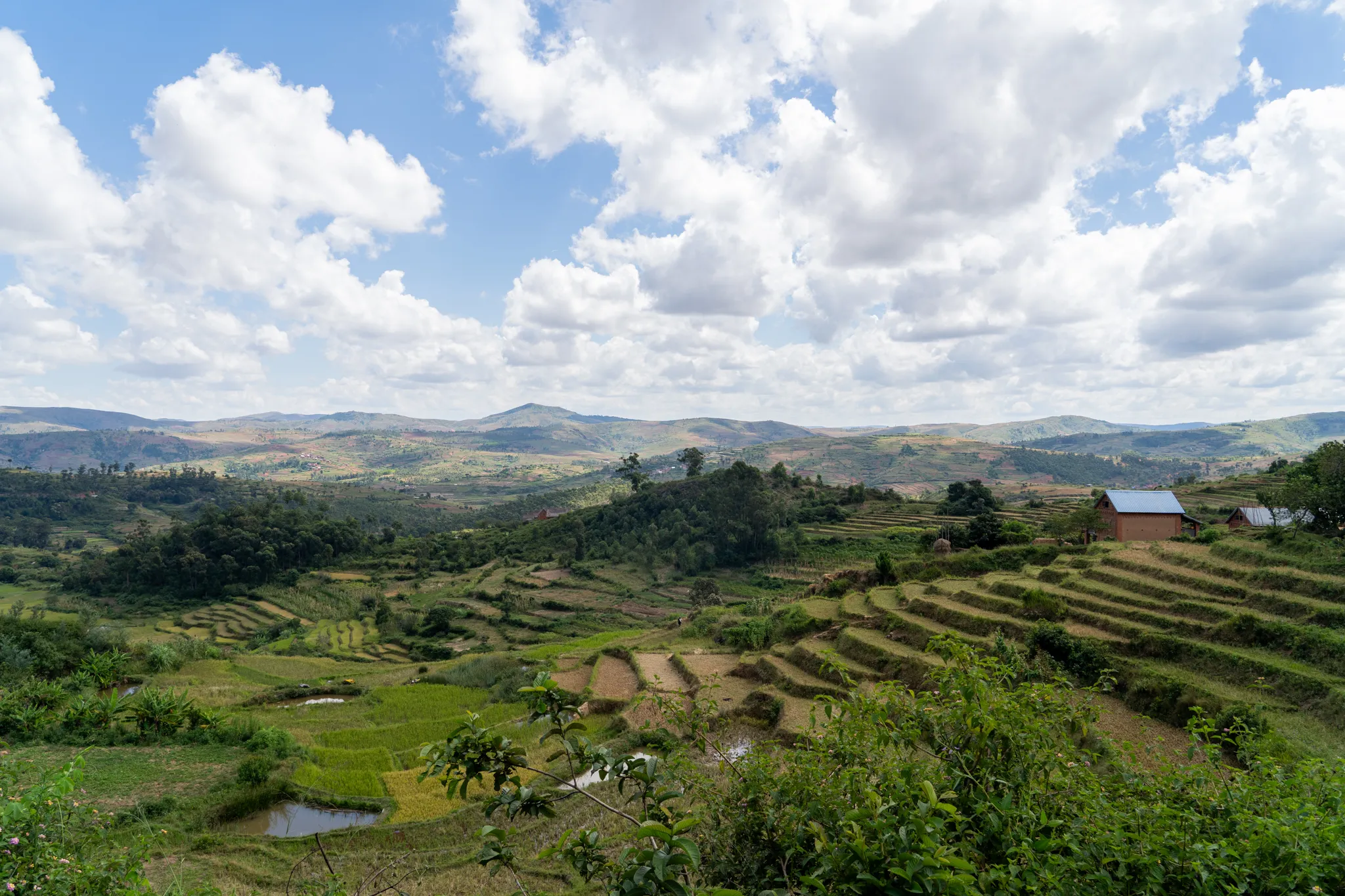 Rolling terraced valley beneath a big sky, Madagascar