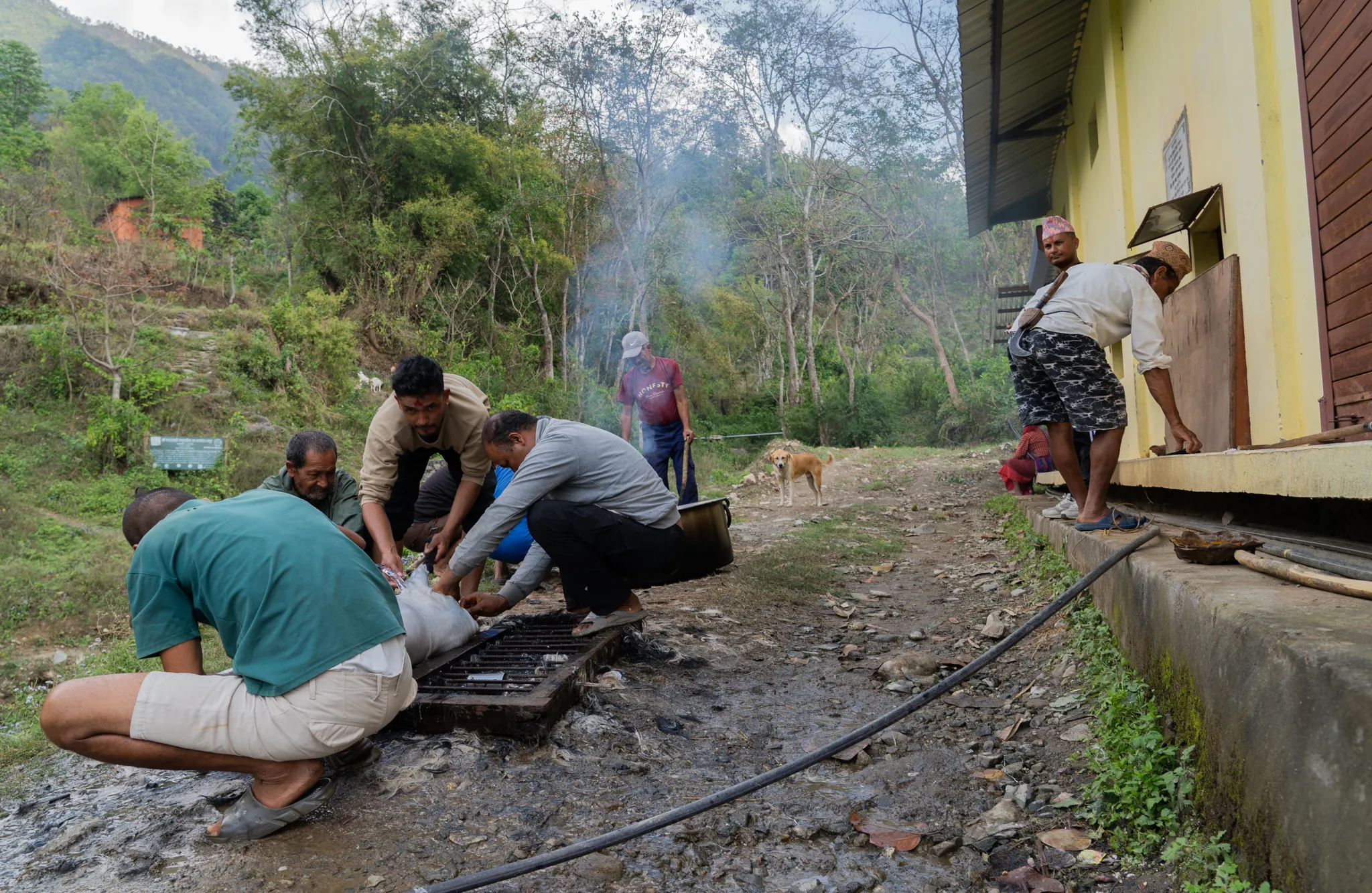 Men butchering a goat on a village path