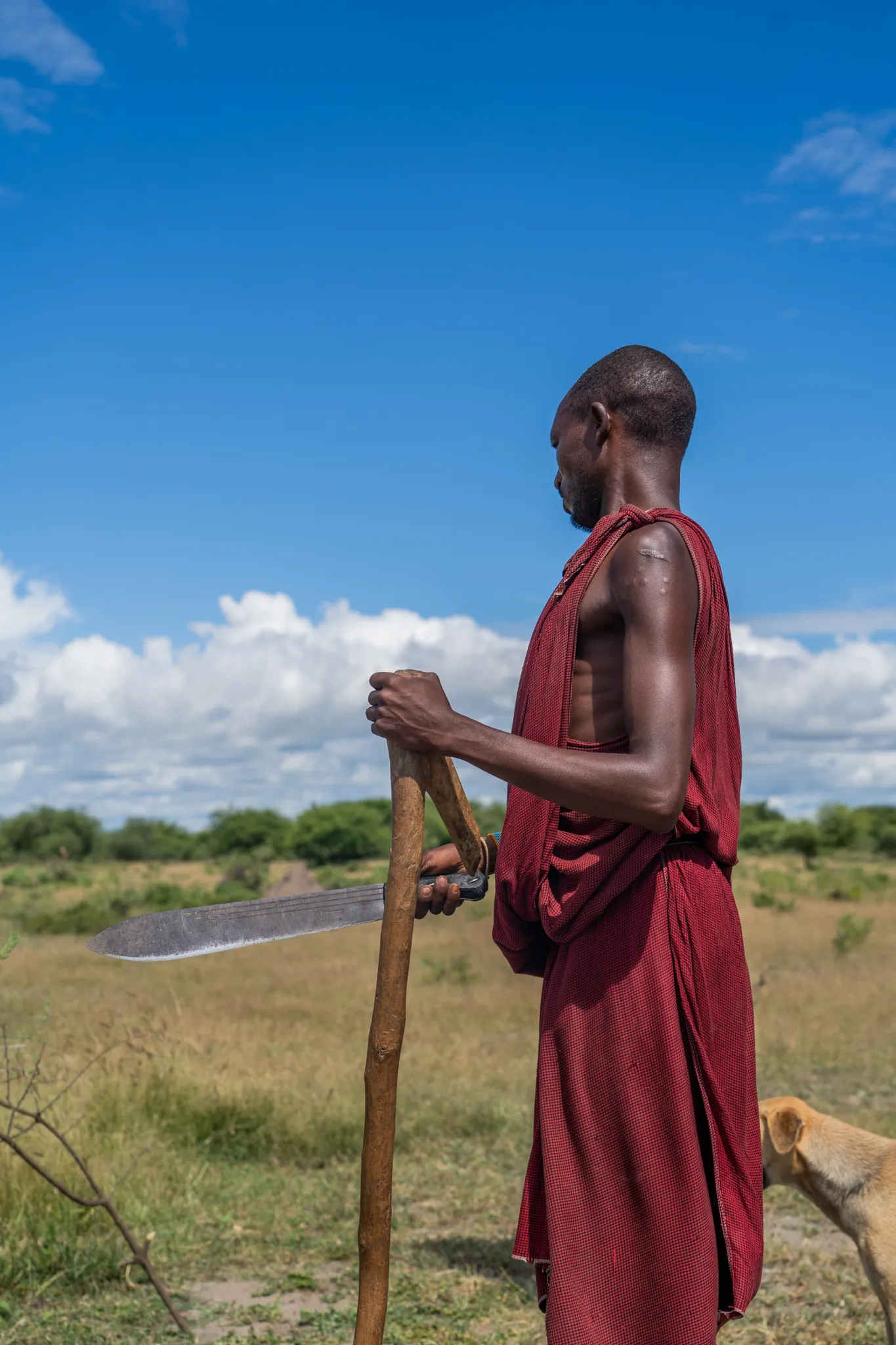 Massai Herder with blade and walking stick, Tanzania