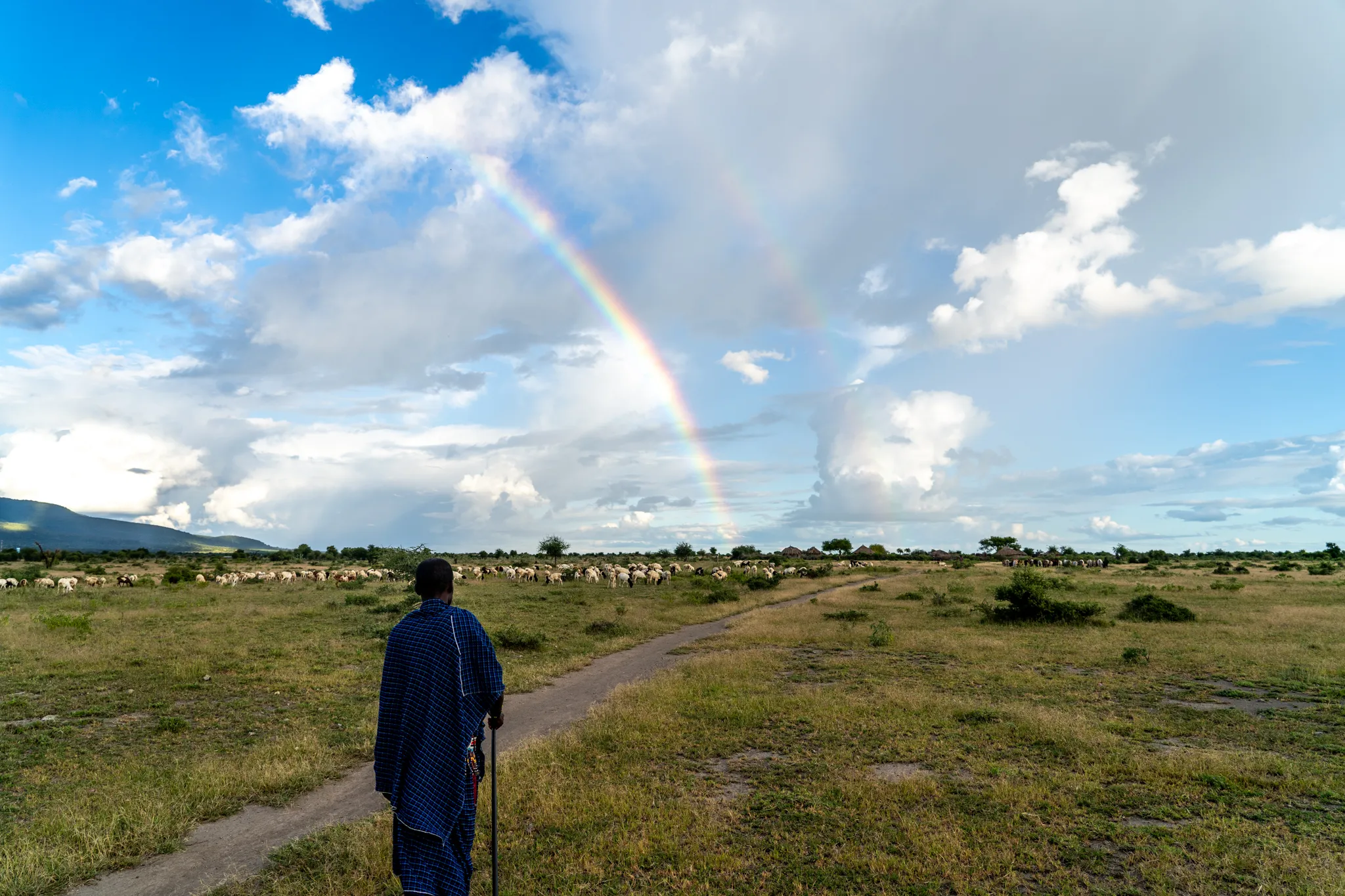 Massai man watching a rainbow while walking home, Tanzania