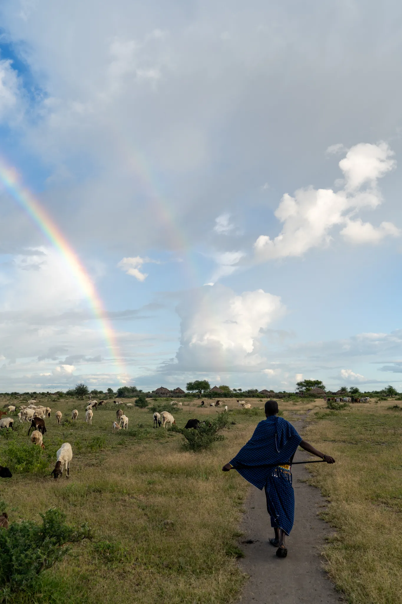Double rainbow over the flock in Massai country, Tanzania
