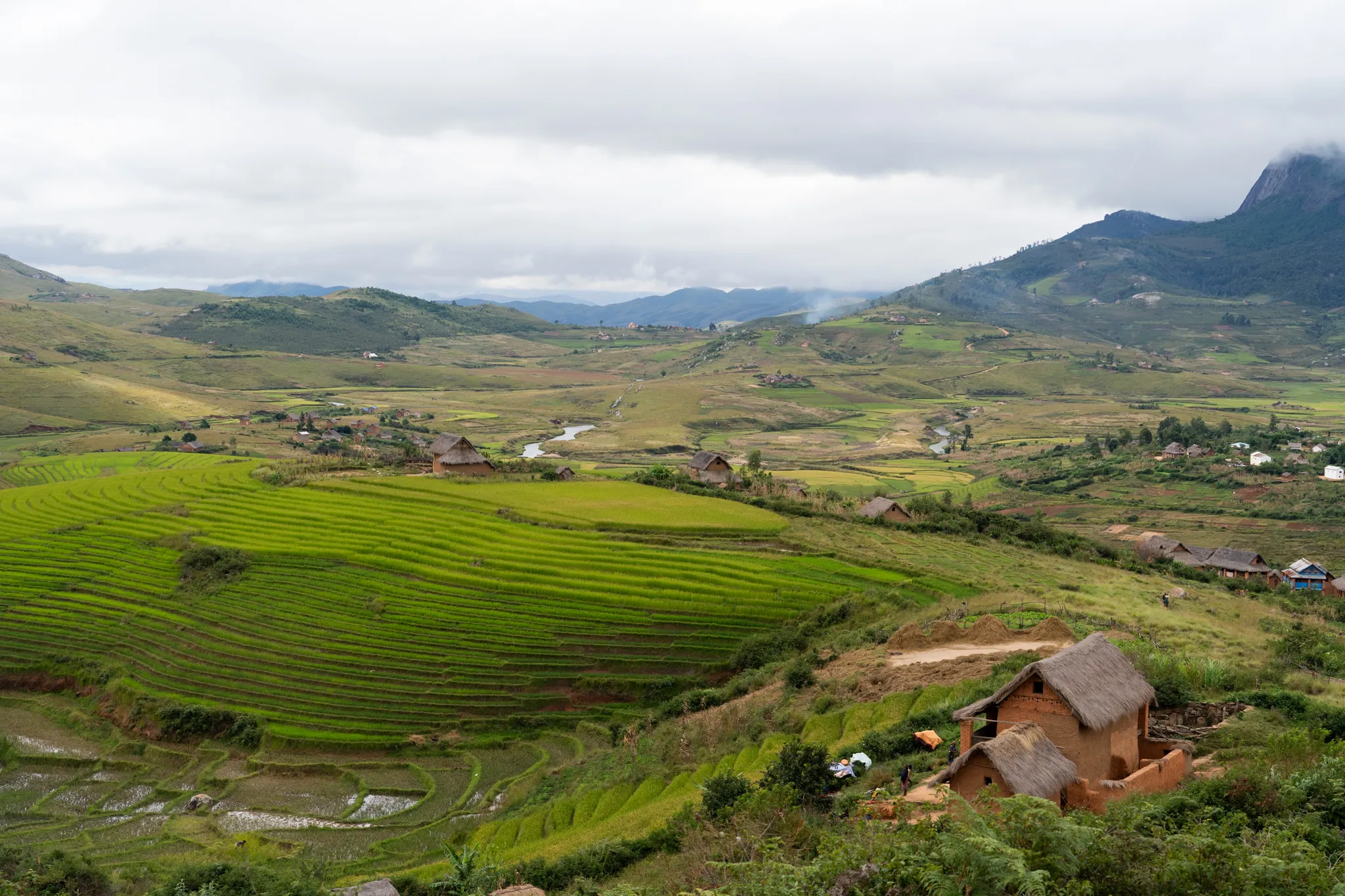 Terraced rice fields in the valley