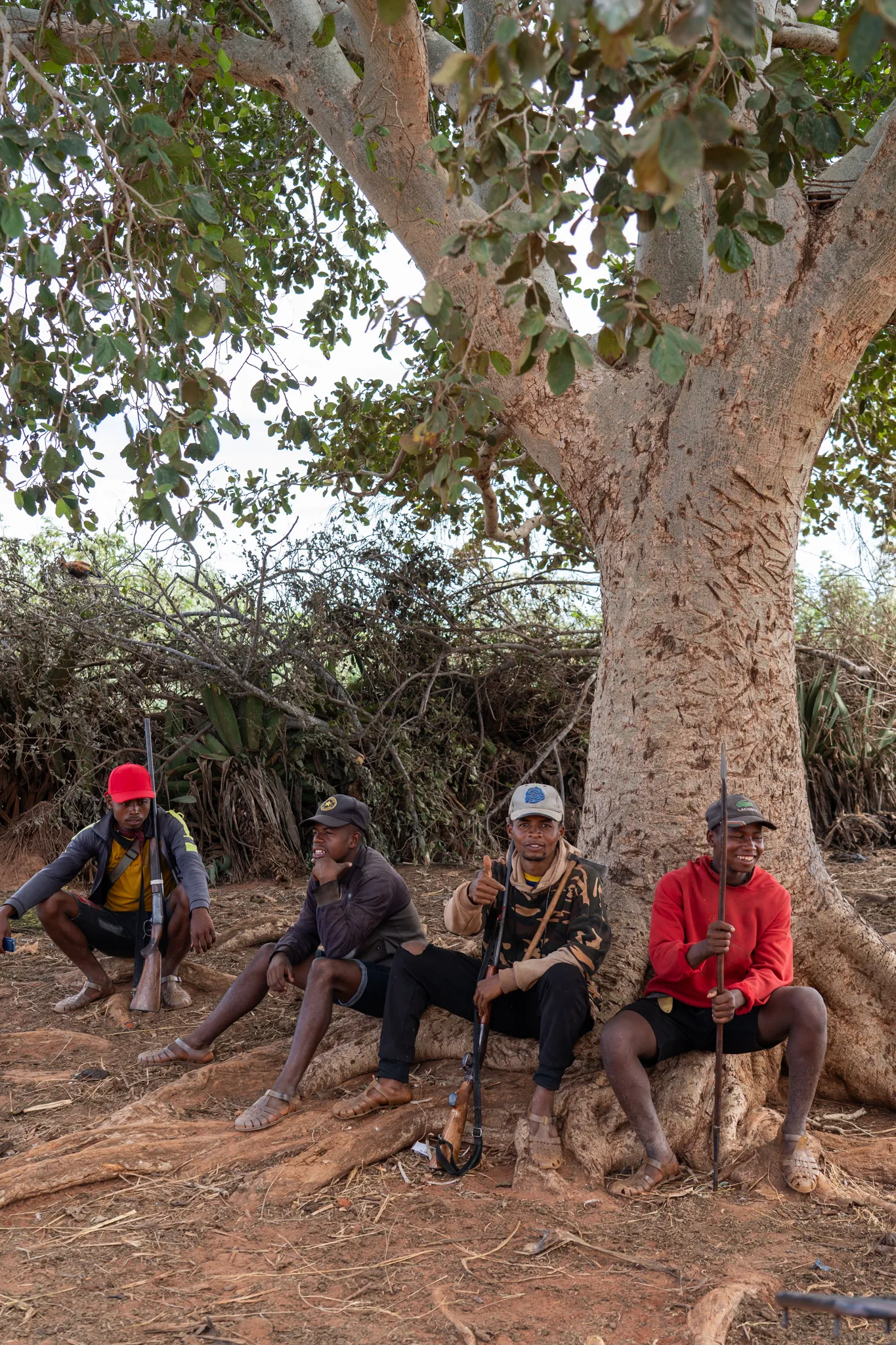 Hunters resting under a baobab