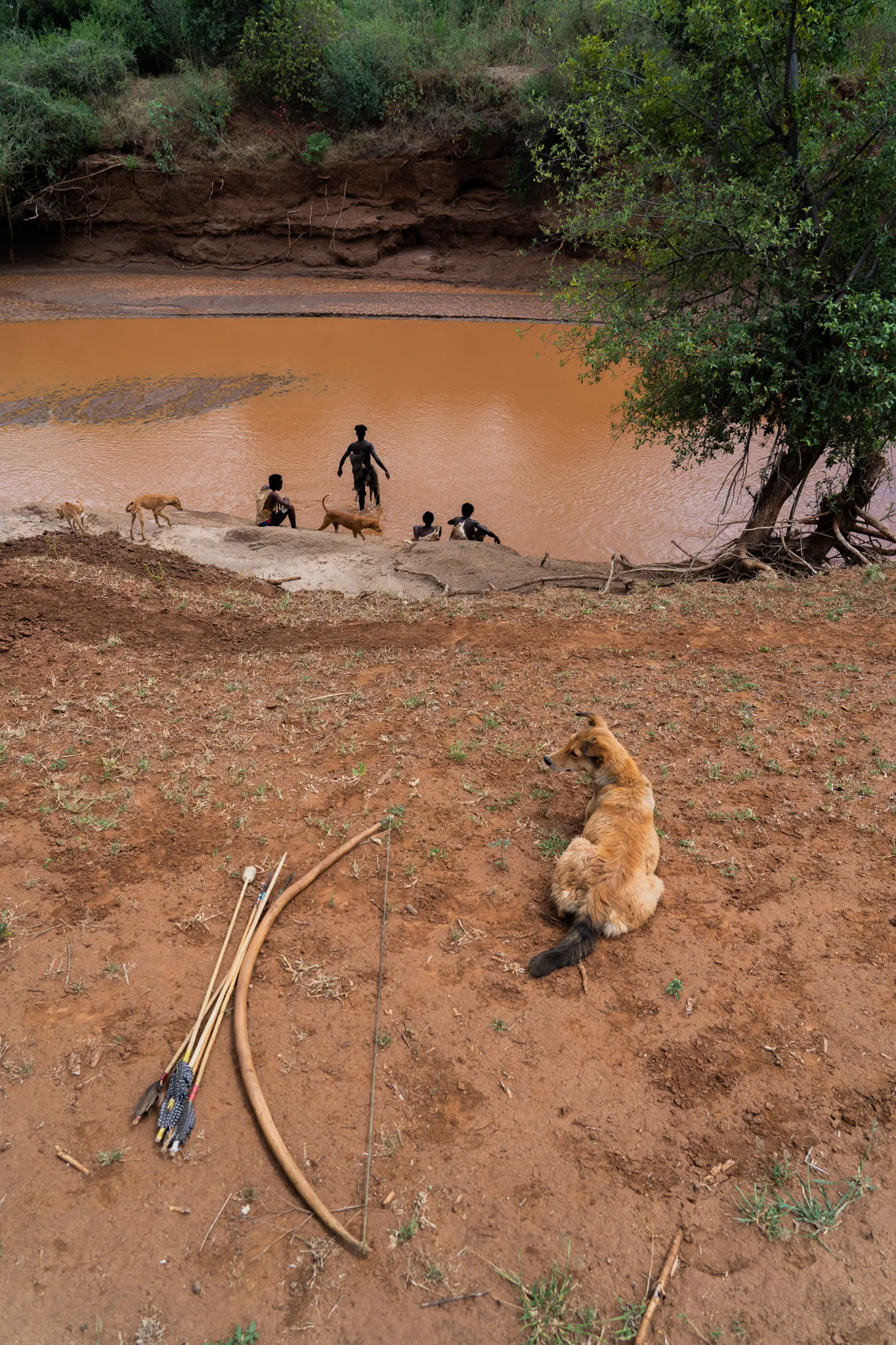 Bow and arrows left on the riverbank as the Hadzabe bathe, Tanzania