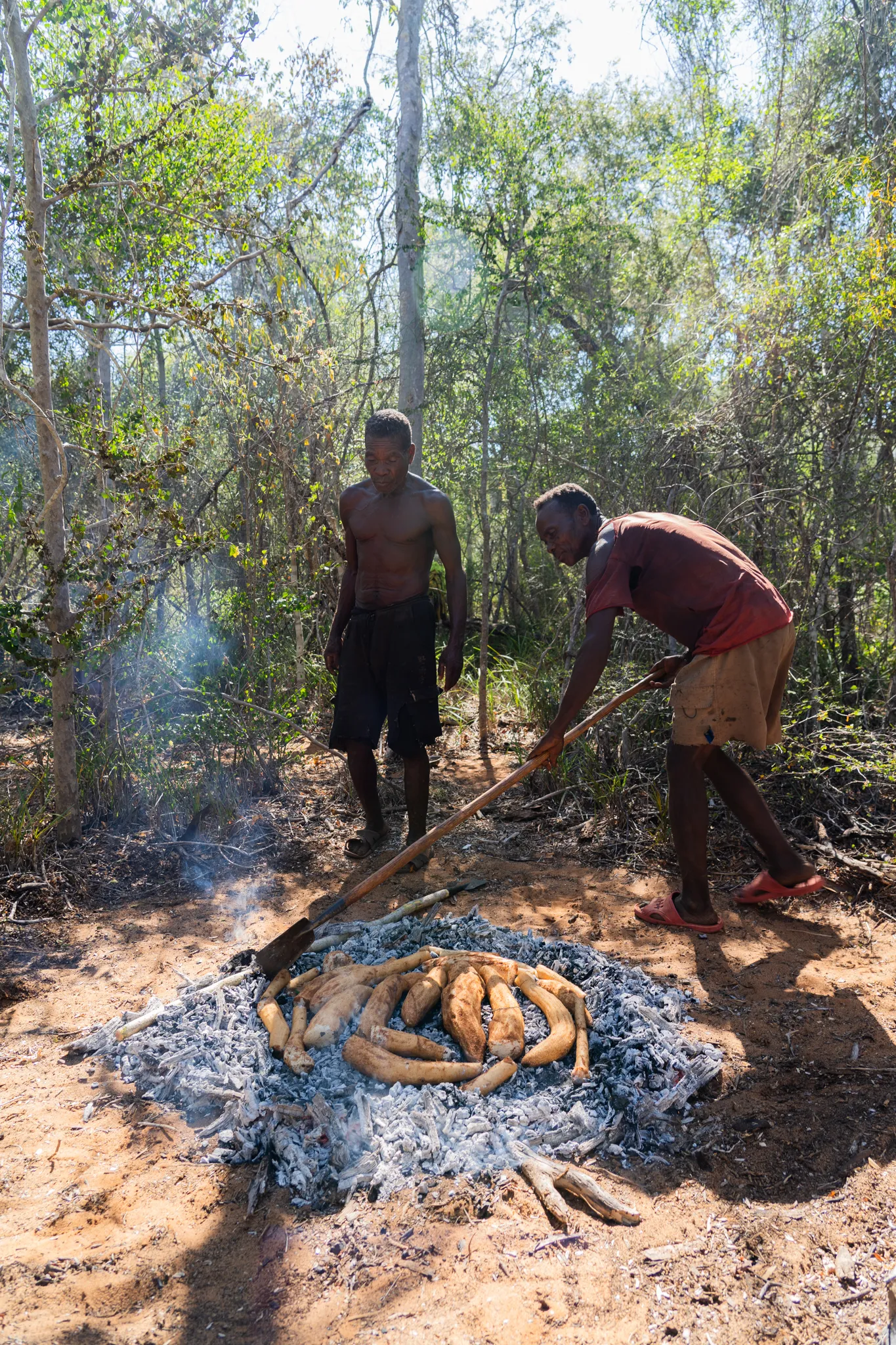 Men roasting cassava over an open fire