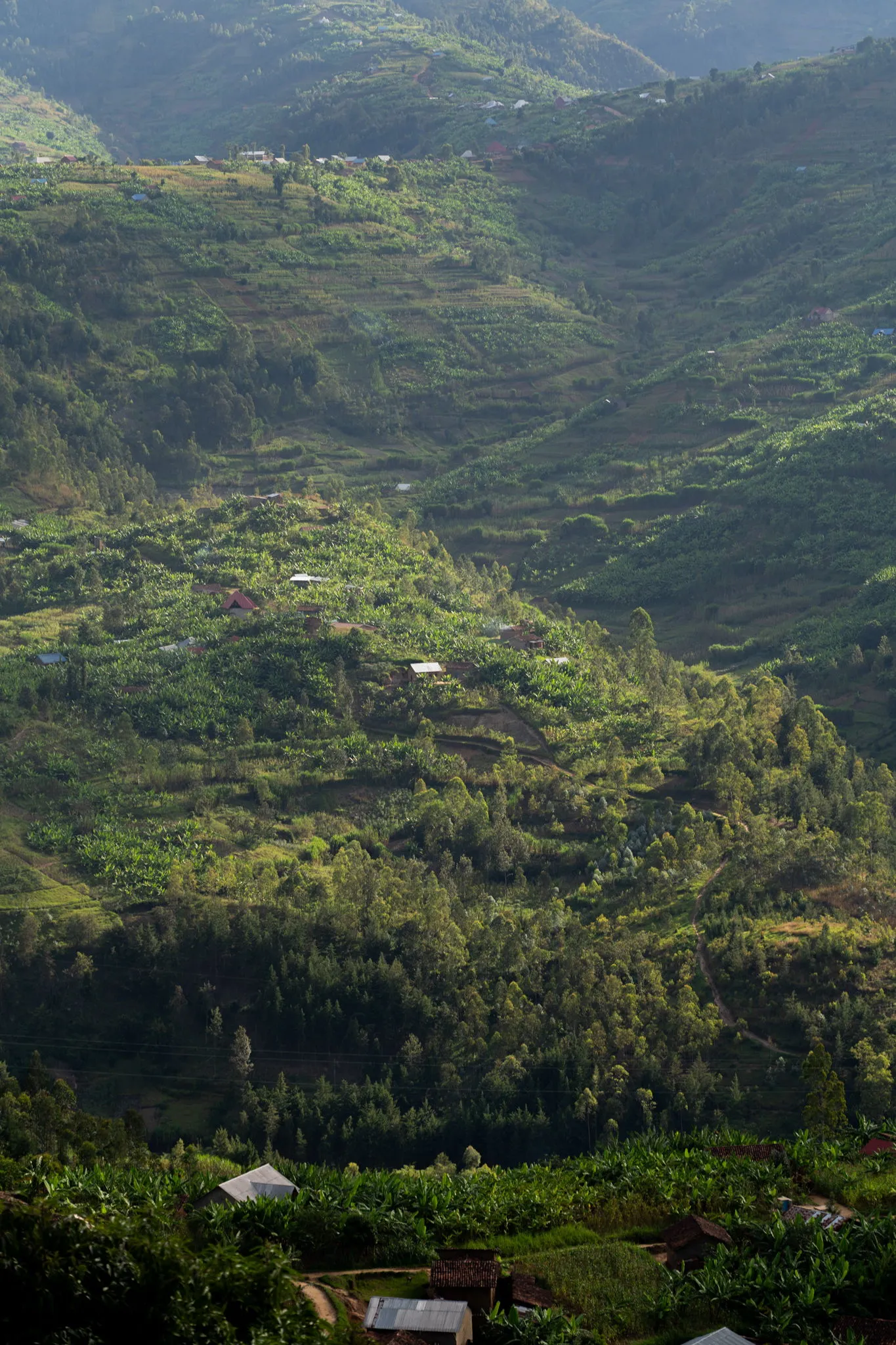 Rwanda — Terraces