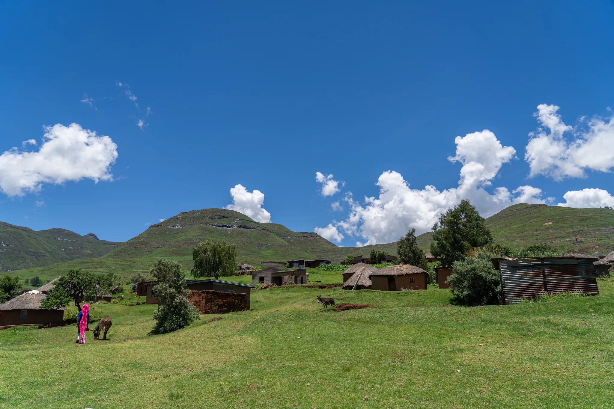 Thatched village and grazing donkey below green peaks