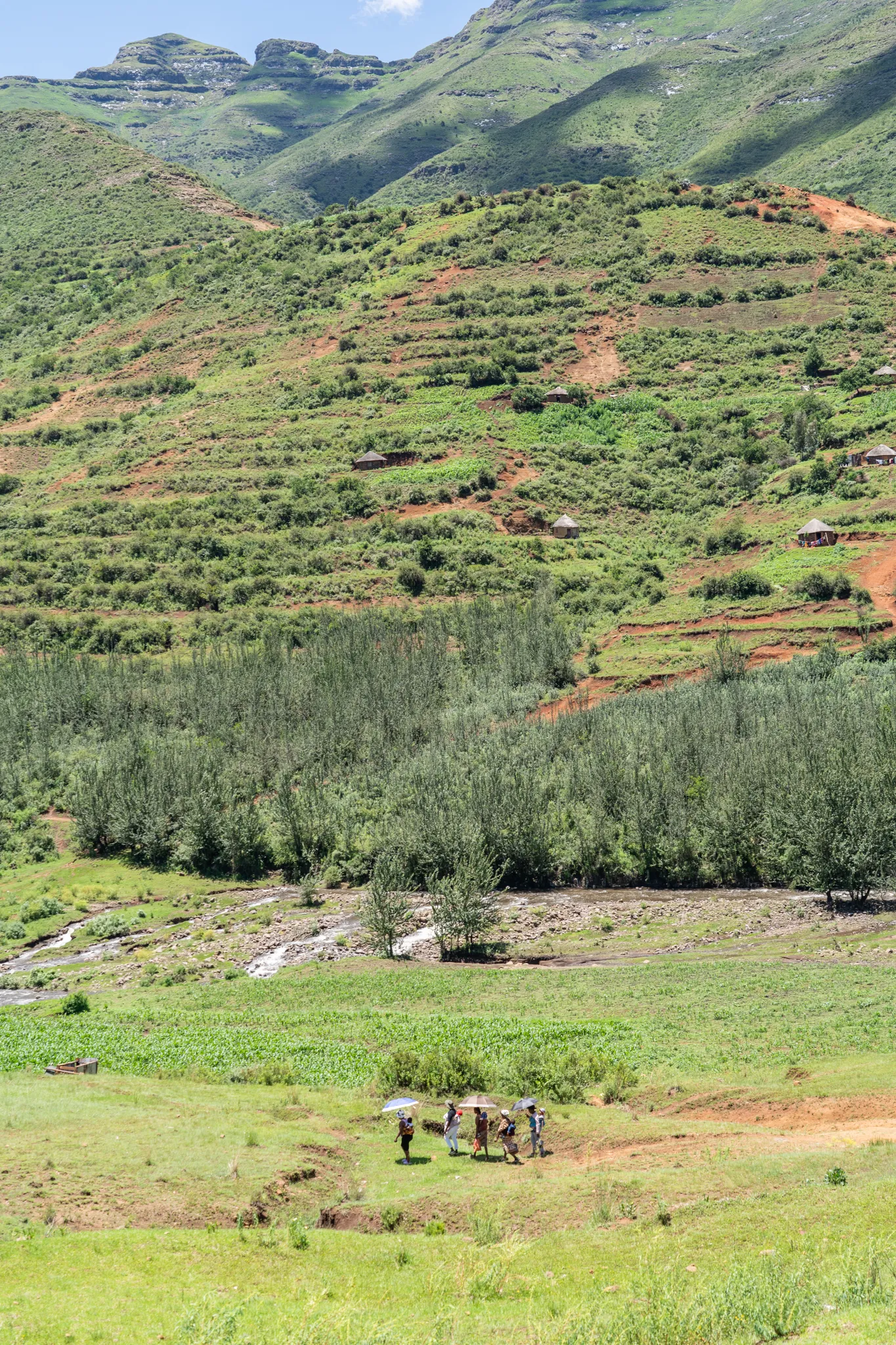 Women walking with umbrellas, Lesotho