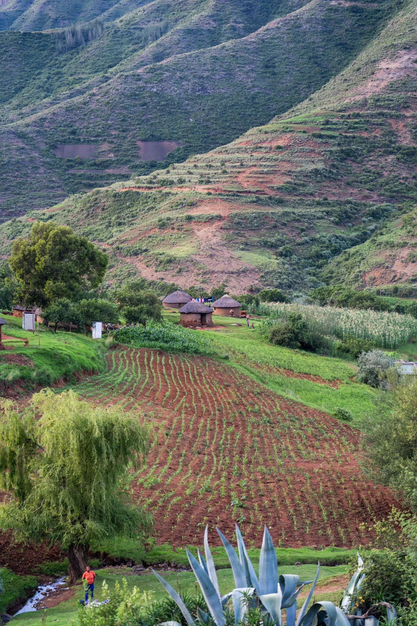 Lesotho