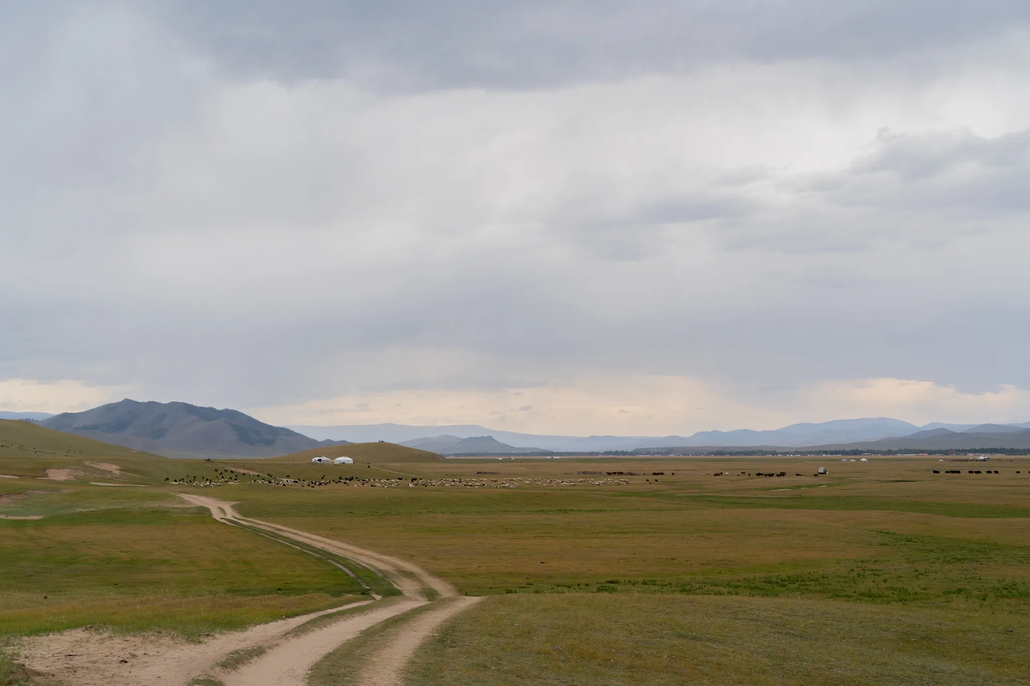 Landscape with dirt road and yurts, Mongolia