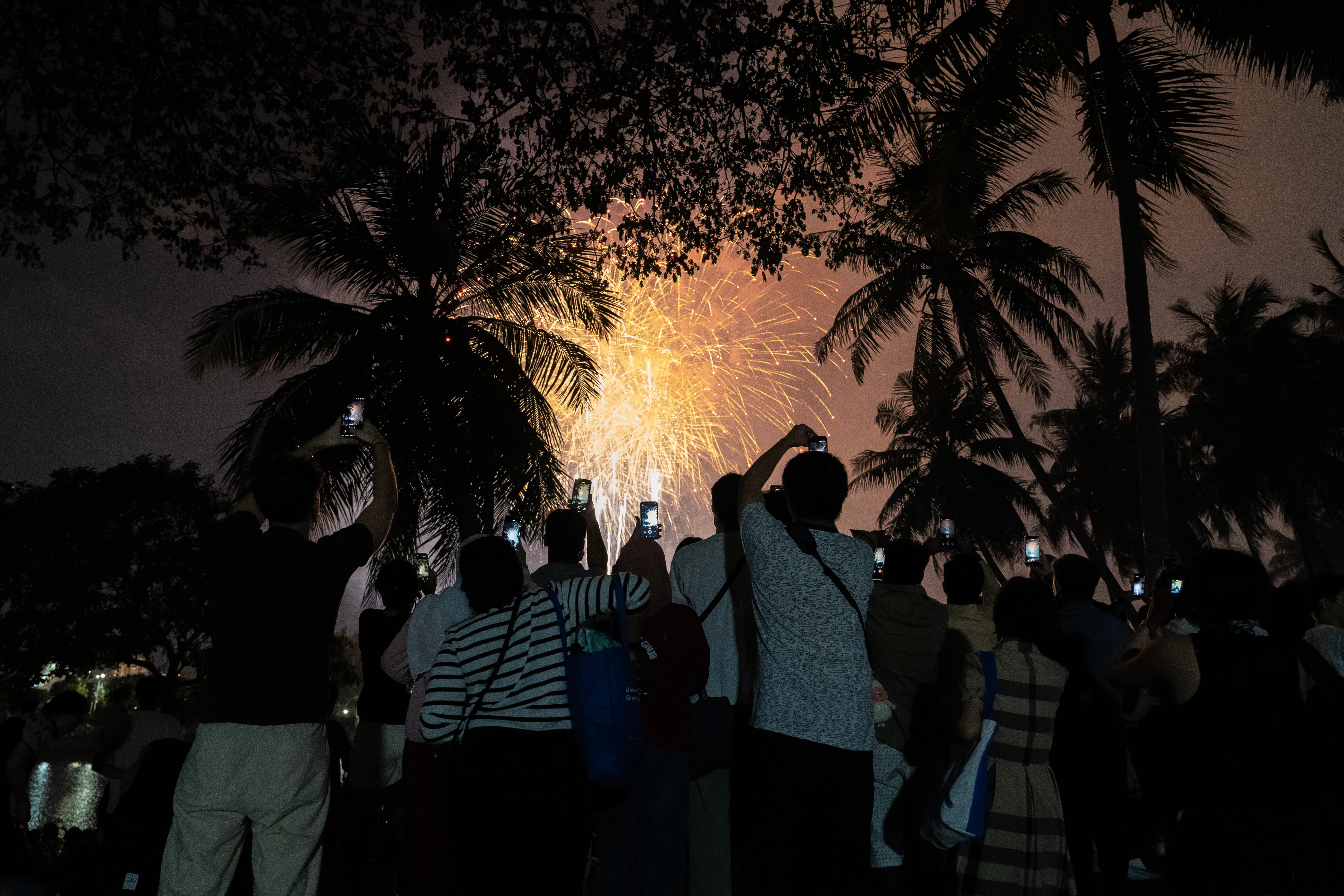 Crowds filming fireworks through the palms on independence day, Singapore
